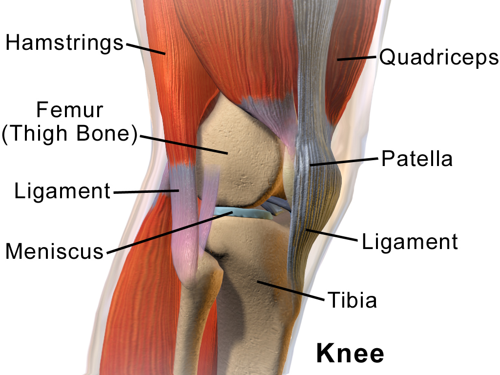 Knee Pain Relief
