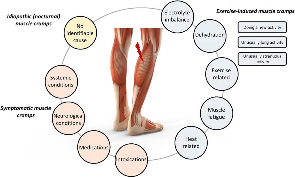 Muscle Cramps