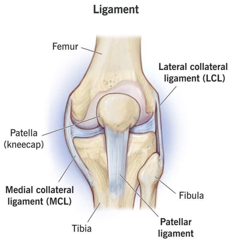 Ligament Pain