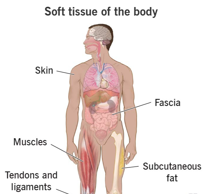 Deep Tissue Injury