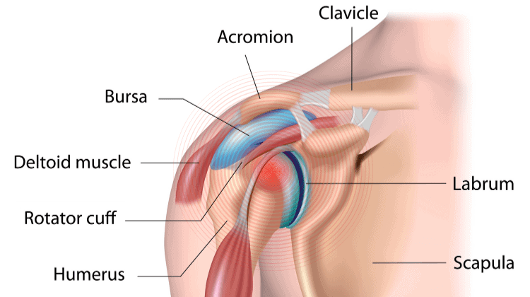 Shoulder Joint Pain
