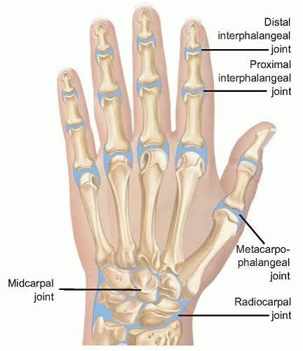 Interphalangeal Joint Pain