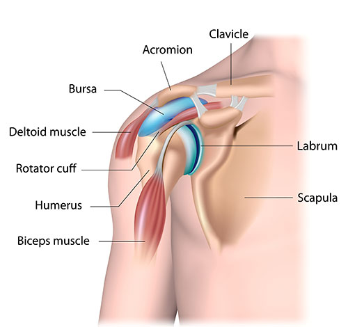 Right Shoulder Blade Pain